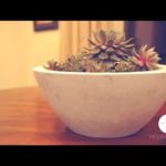 DIY Modern Concrete Bowl Planter | Modern Builds | EP. 1