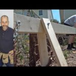 How to Remove a Cedar Hedge – Holden’s Beast Method