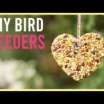 DIY | How to Make a Bird Feeder (Easy Kids Craft!)