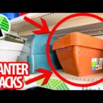 GRAB $1 PLANTERS from the Dollar Store for these CRAZY GOOD HACKS! (everyone will be copying these!)