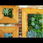 DIY Vertical Succulent Garden