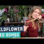 Wildflower Seed Bombs | Easy DIY