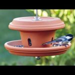 DIY terra-cotta bird feeder