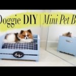 DIY Super Easy Mini Dog & Cat Bed | ANN LE