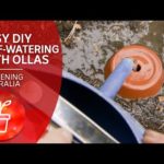 Irrigate like it’s 2000 BC with these easy DIY terracotta watering pots called ollas