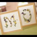 Pressed Flowers DIY