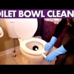 Toilet Bowl Cleaner – Day 17 – 31 Days of DIY Cleaners (Clean My Space)