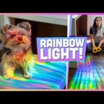 How to Make a Rainbow Room – DIY