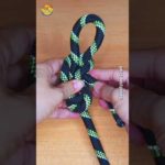 How to tie Knots rope diy idea for you #diy #viral #shorts ep481