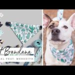 Easy Pet Bandana | Spoonflower