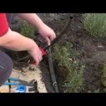 How To Install Pop Up Sprinklers – DIY At Bunnings