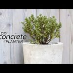 Concrete Planter | easy DIY