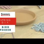 How To Make A Bird Feeder – DIY At Bunnings