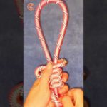 How to tie knots rope diy at home #diy #viral #shorts ep459