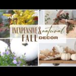 Natural Fall decor ~ DIY Fall Decorations ~ Inexpensive Fall Decor ~ Decorate for Fall ~ Fall Decor