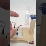 DIY clinostat (see related video or description for instructions)