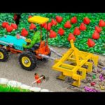 DIY tractor making mini – Rescue strawberries, carrots, watermelon and grapes – DIY concrete mixer