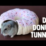 DIY Donut Tunnel For Hamsters & Mice