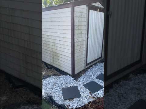 Moldy Shed Transformation | Painting My Shed | #diy #shed #viral #viralvideo #viralshorts