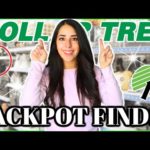 10 Things to buy at Dollar Tree in October 2023│Dollar Tree Finds