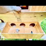 DIY CHICKEN COOP BUILD // Start To Finish